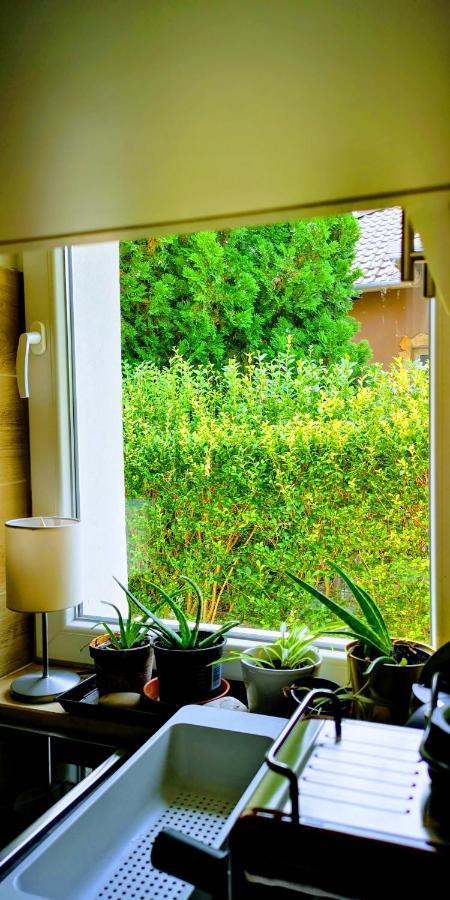 Arvalanyhaj Home Apartman Herceghalom Ngoại thất bức ảnh